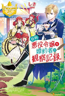次元城作品 极光之翼